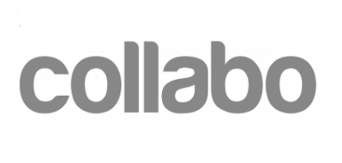 Partner 3 logo
